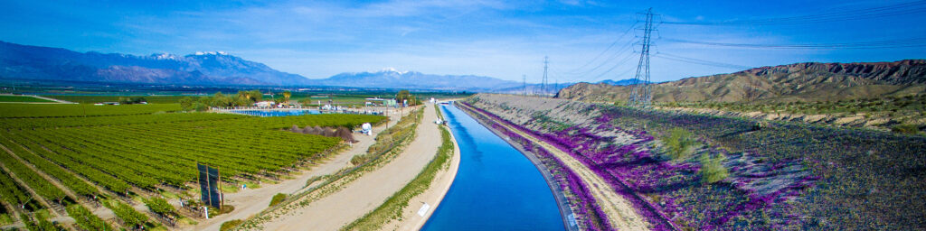 Canal and wildflowers